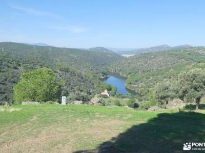 Pinares de Navas del Rey; el tranco la pedriza parador nacional de turismo de cazorla rio guadalix v